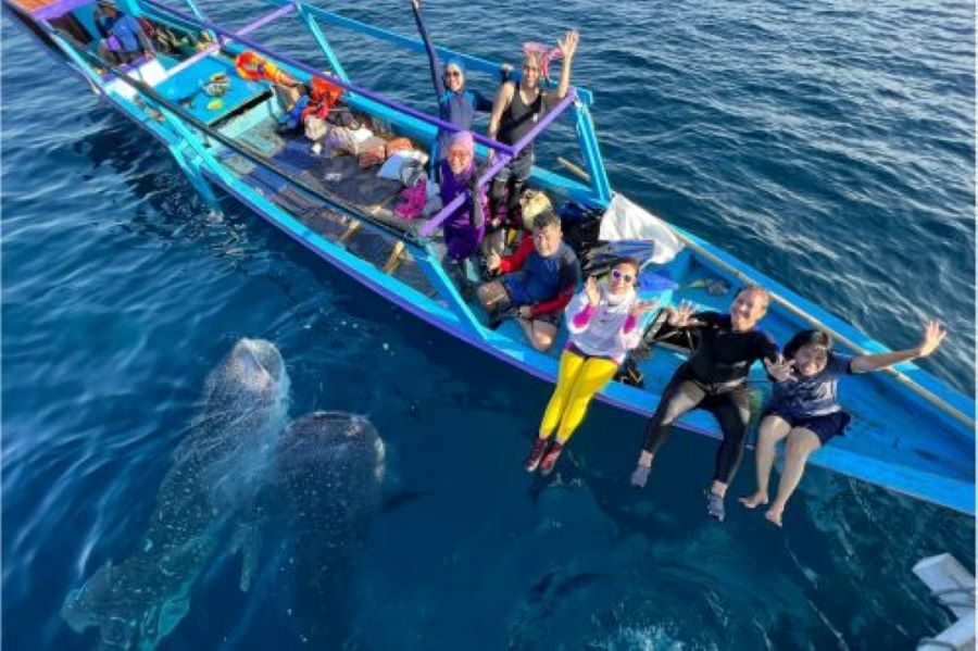 Best Time for Saleh Bay Whale Shark