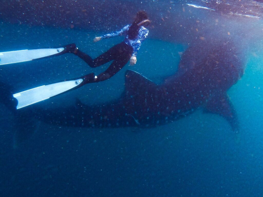 diving in Saleh Bay eco-friendly