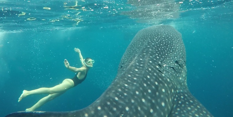 diving in Saleh Bay eco-friendly